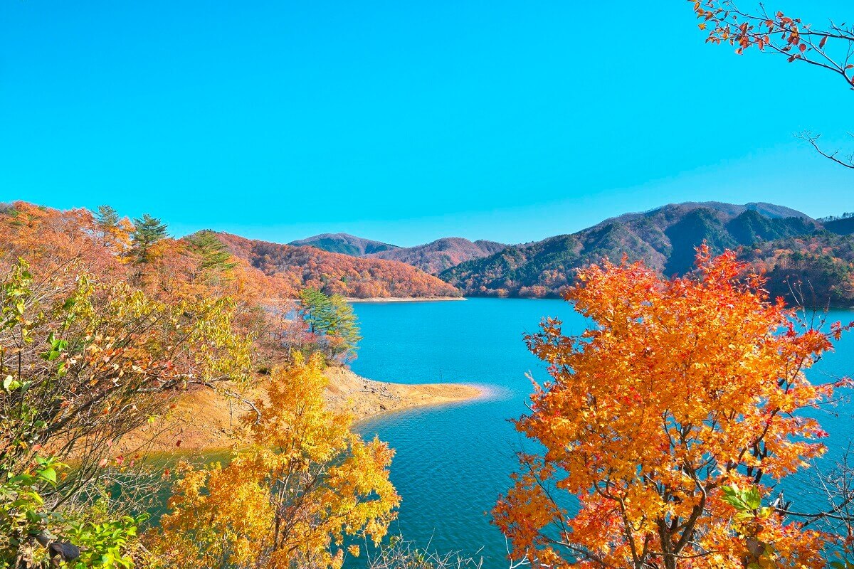 4 Recommended Tourist Spots in Kuzuryu – Enjoy Beautiful Natural Scenery  and the Great Outdoors! – skyticket Travel Guide