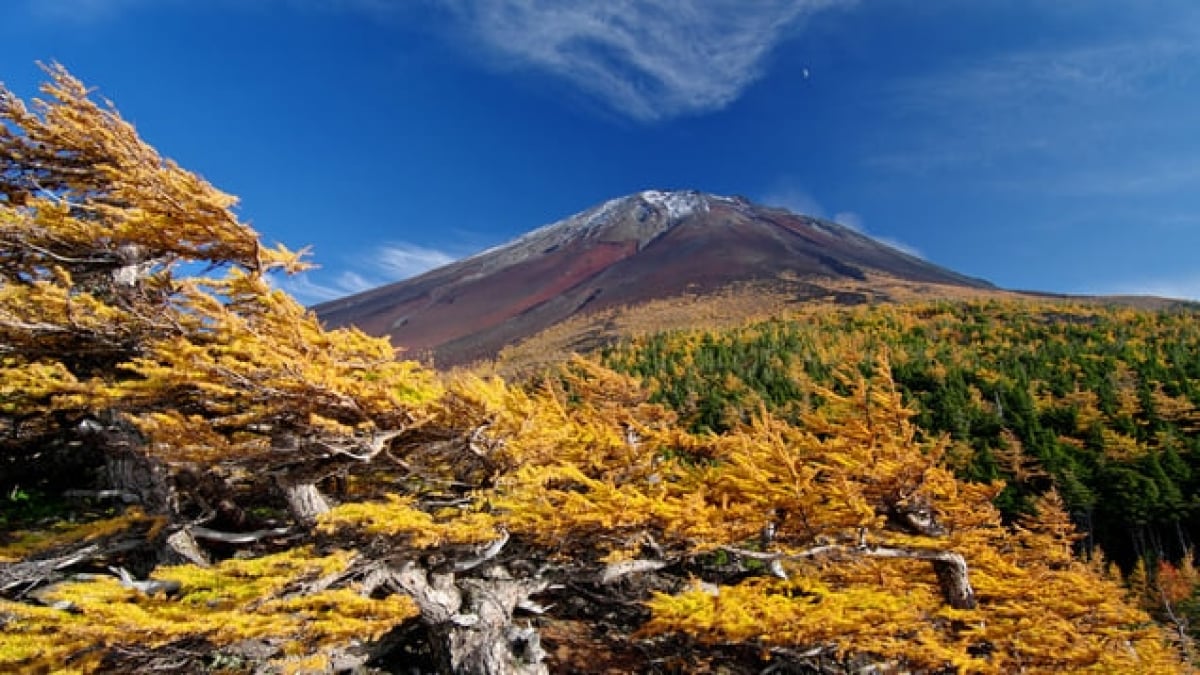 Fully Enjoy Mount Fuji and Nature! 5 Recommended Tourist Spots in Narusawa Village, Yamanashi Prefecture