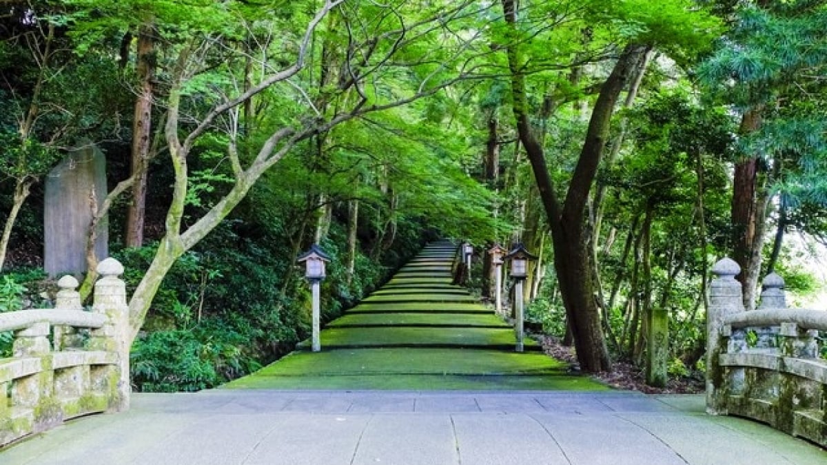 Historic Town: 5 Must-Visit Tourist Spots in Hakusan City, Ishikawa! Nature and Power Spots Too!