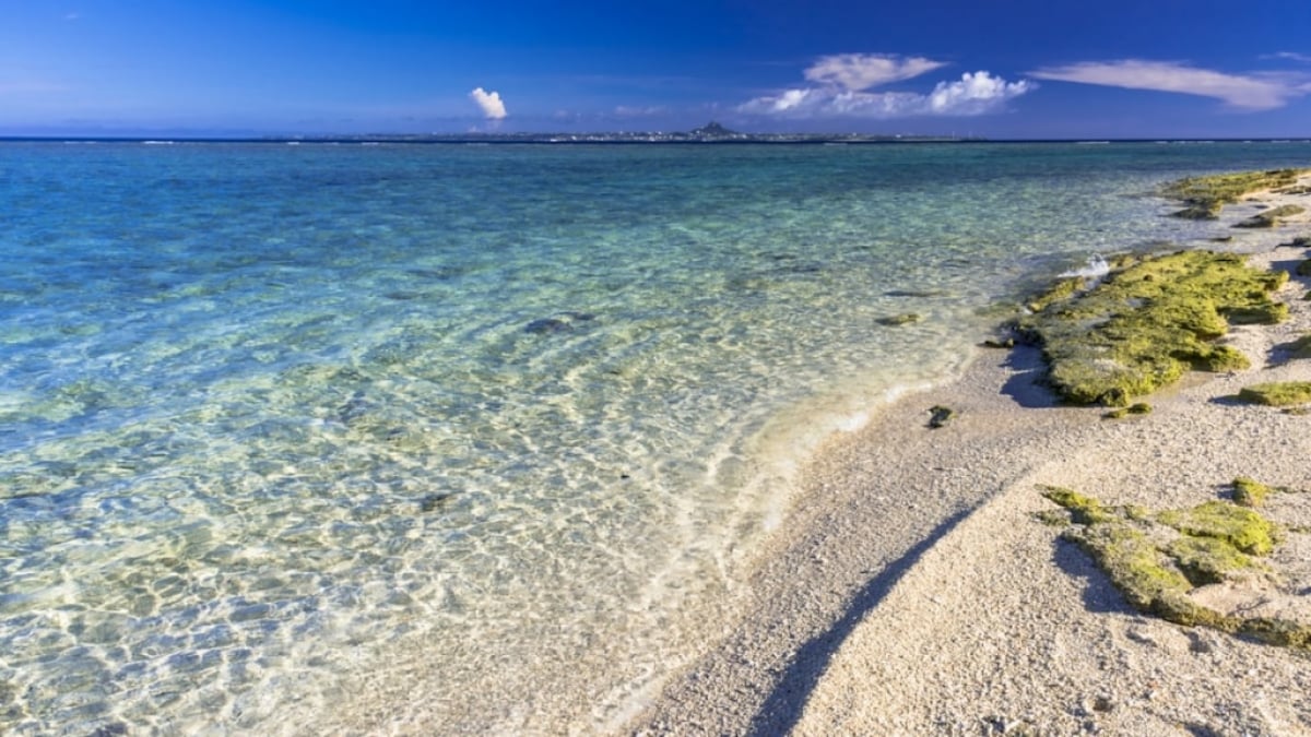 Sesoko Beach Has the Clearest Waters on Okinawa’s Main Island! Enjoy Swimming and Scenic Views