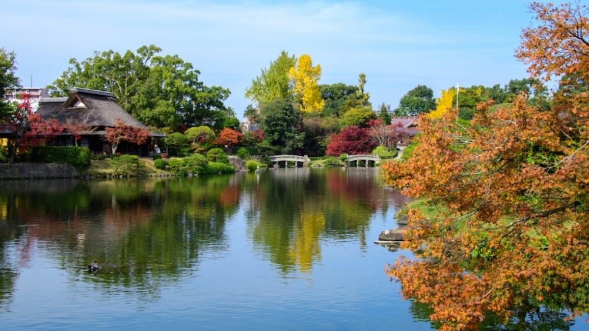 Classic Sightseeing Spot in Kumamoto City! Highlights, Souvenirs, and Sweets of Suizenji Jojuen Garden