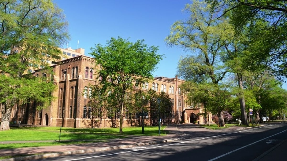 Hidden Tourist Spot in Sapporo! Exploring the Charm of the Atmospheric Hokkaido University