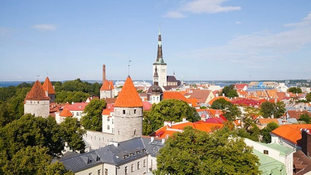 Discover the Best Souvenirs Filled with the Warmth of Estonia