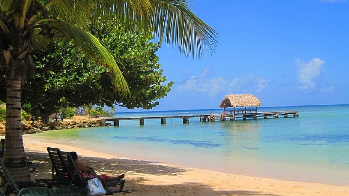 【Souvenirs from Trinidad and Tobago】From Steel Pans to Extra-Spicy Peppers