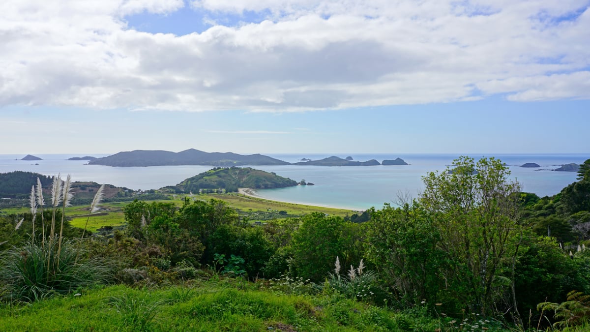 A Guide to Tourist Spots in Kaitaia, the Northernmost Town of New Zealand!