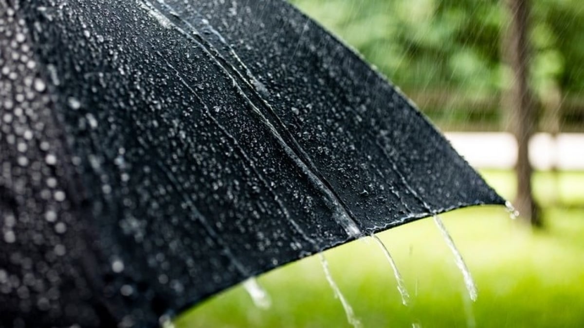 6 tourist spots in Shizuoka you can enjoy even on rainy days – Indoors with animals and music