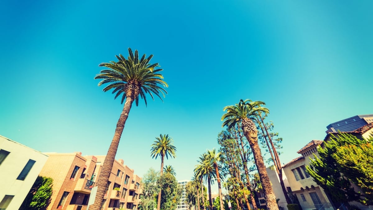 Beverly Hills and Hollywood! Top Tourist Attractions in L.A. and the Westside