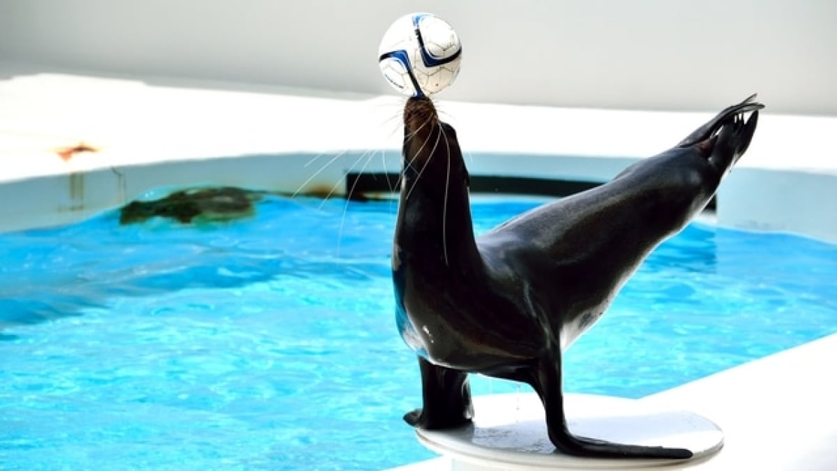 【Chiba Prefecture】11 recommended spots to visit on rainy days ◎ Fun for both adults and kids!?