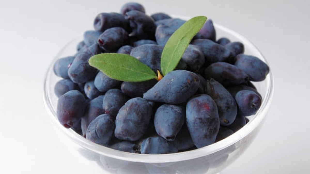 Irresistible Souvenirs! 6 Must-Buy Items When Visiting Tomakomai