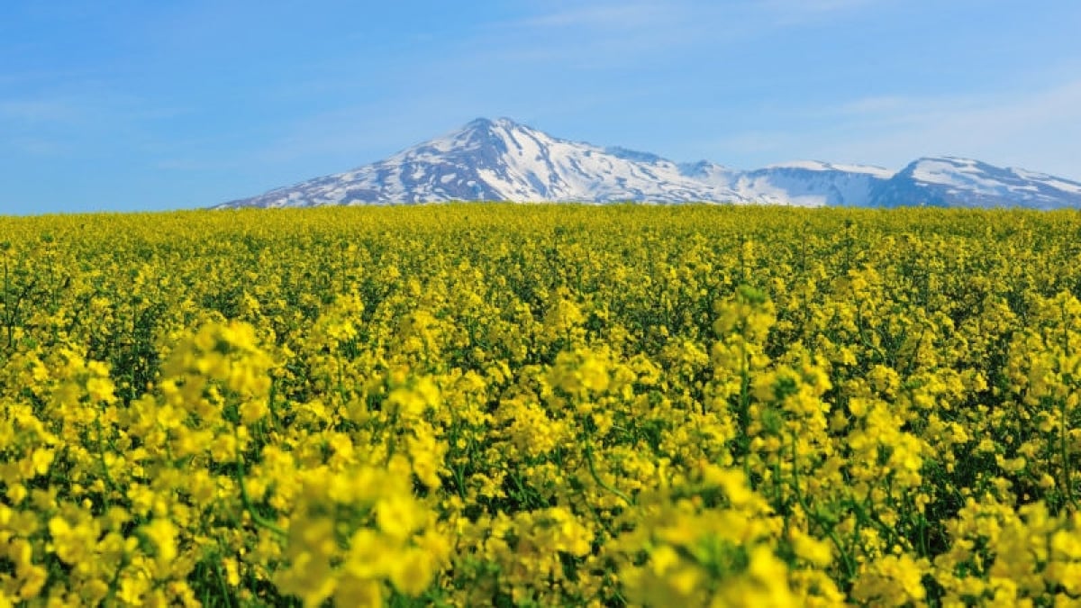 You can fully enjoy time together! 4 recommended date spots in Akita Prefecture