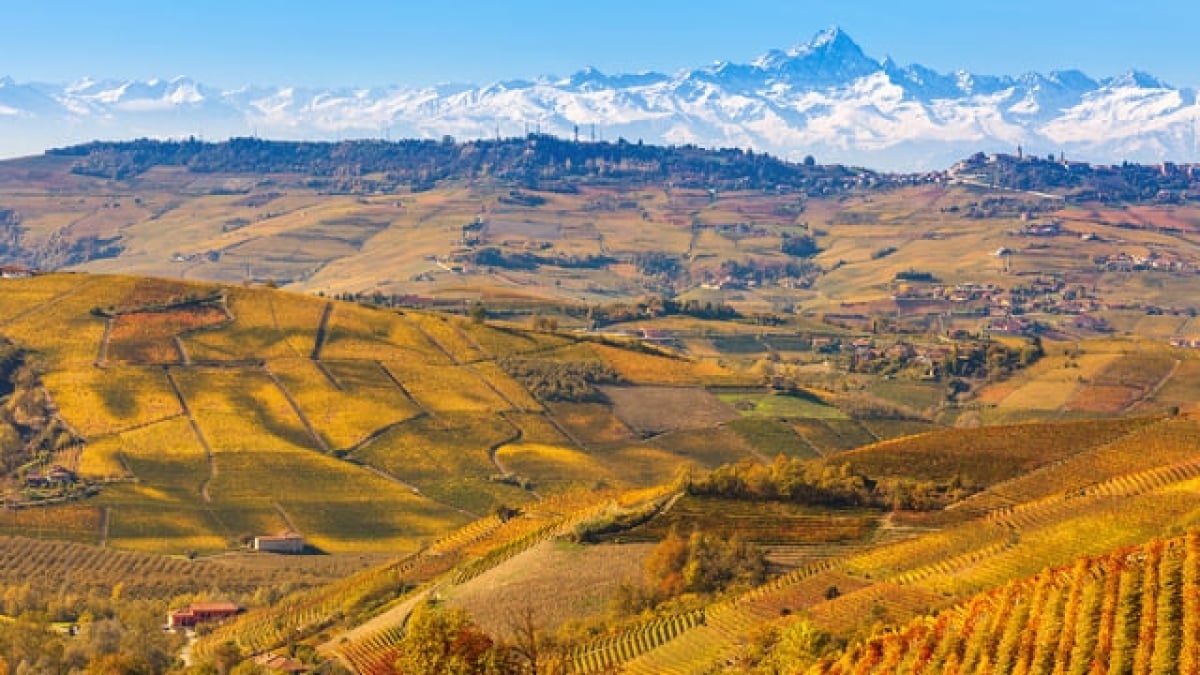 【World Heritage】Vineyards of Piedmont: What are Langhe, Roero, and Monferrato?