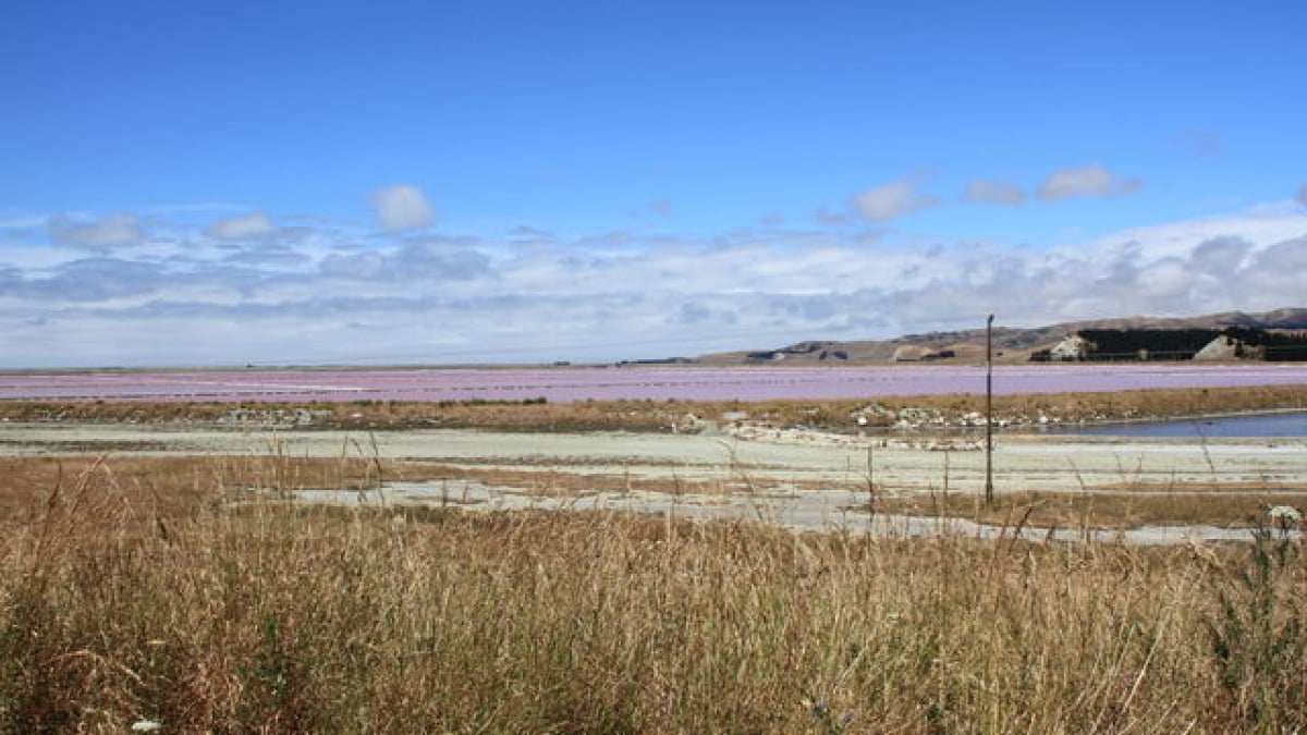 Winery tours are popular! 3 recommended sightseeing spots in Blenheim