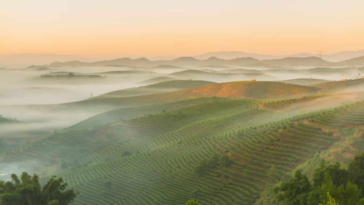 Discover the Ancient Tea Capital: Top 3 Tourist Attractions in Pu’er, China