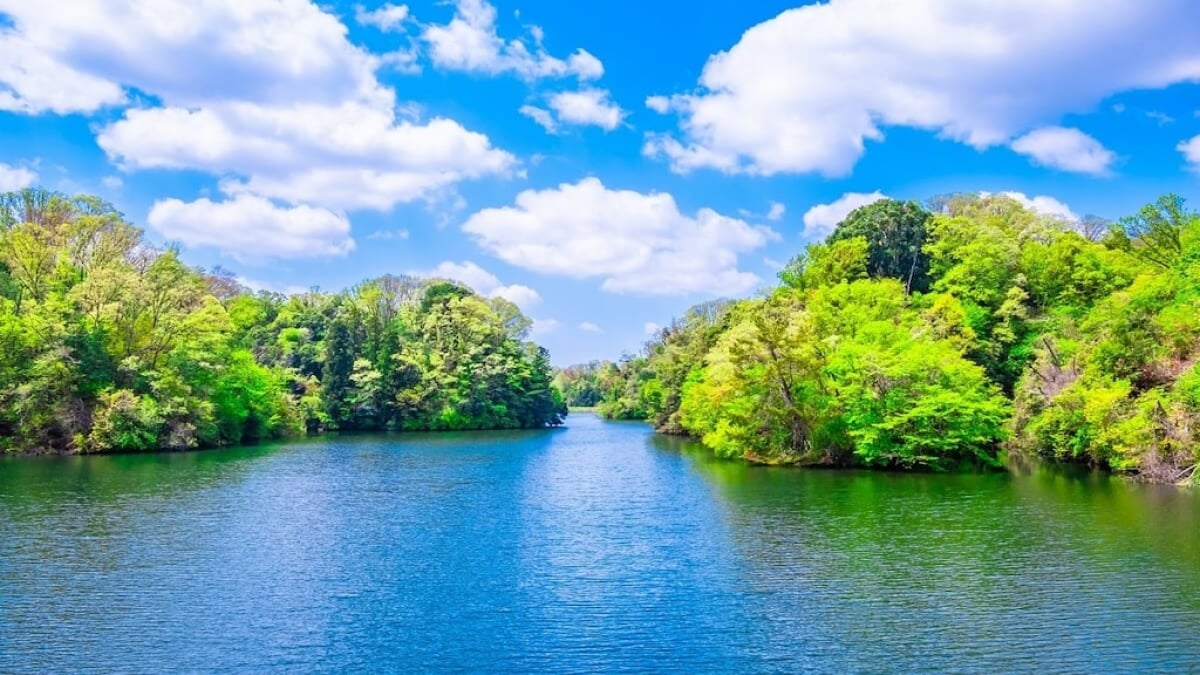 4 Recommended Sightseeing Spots in Shijonawate City for Enjoyable Hiking! A Town Rich in Ancient History