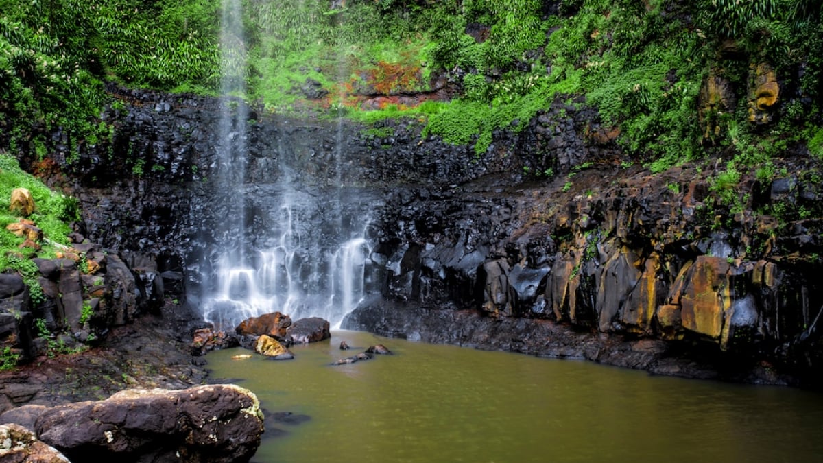 Queensland’s Wet Tropics is home to the world’s oldest remaining tropical rainforests