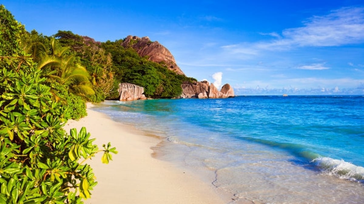 Top Seychelles Souvenir: Coco de Mer Figurines – The Most Popular Choice for Travelers