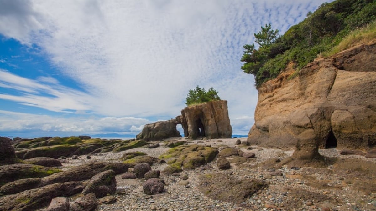 Sanyo-Onoda City: Japan’s Cement Capital with 4 Must-Visit Spots for Food and Hot Springs