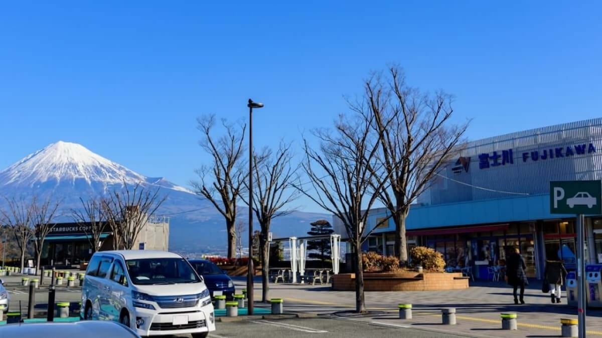 Fuji River Service Area: Must-Try Gourmet Food Recommendations