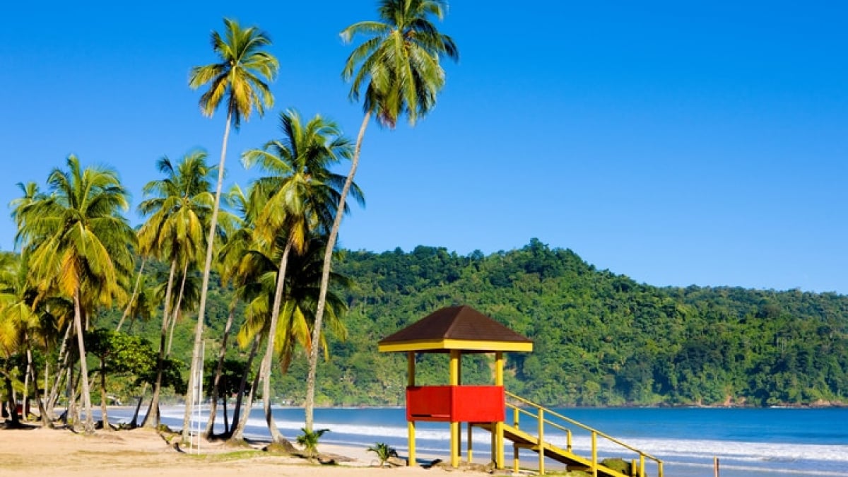 Trinidad and Tobago, Made Up of Two Caribbean Islands! Here’s Where to Shop