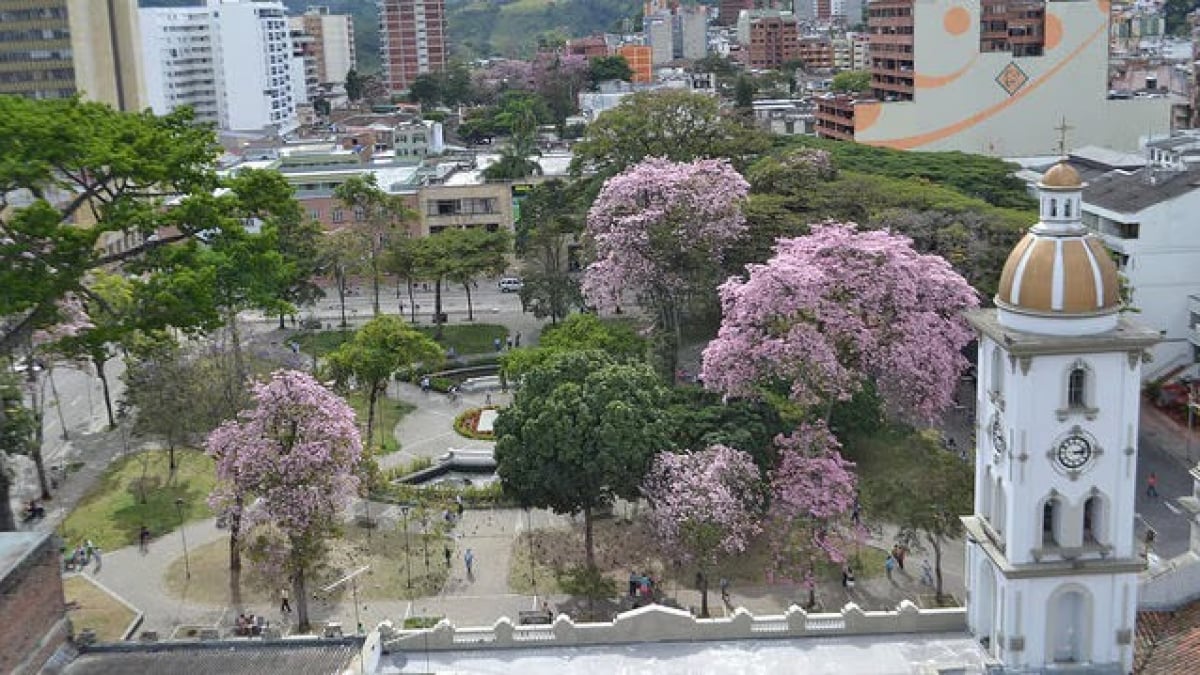 Let’s go to Colombia! Introducing tourist spots in Ibagué!