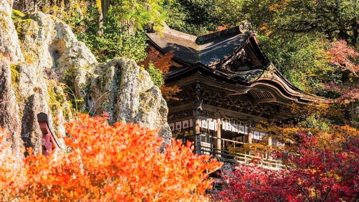 A full lineup of Komatsu Udon and long-established confectioneries! Introducing souvenirs from Komatsu City, Ishikawa Prefecture!