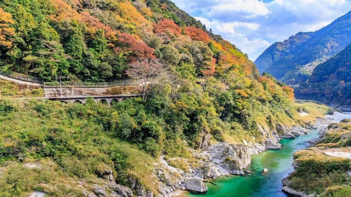 How to Enjoy the Astonishing Natural Scenery of Ōboke and Koboke