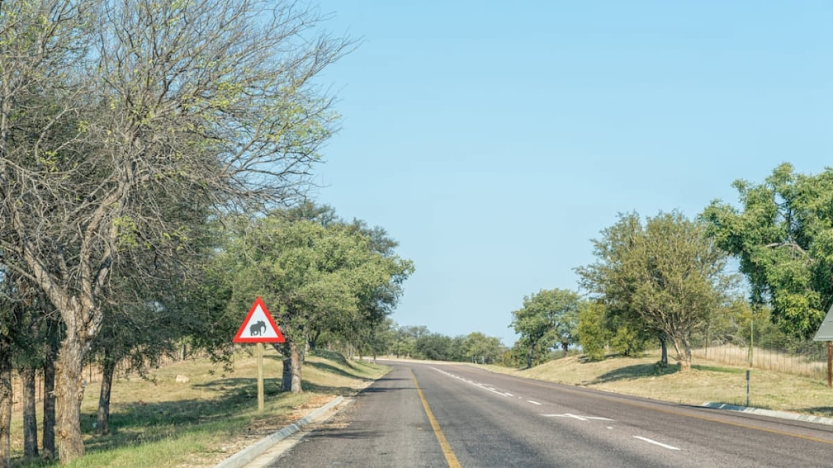 Direct Access to Kruger National Park! Top 3 Tourist Attractions in Phalaborwa, South Africa