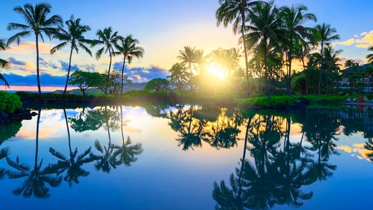 Hidden Gems in Kauai: 3 Must-Visit Underrated Spots