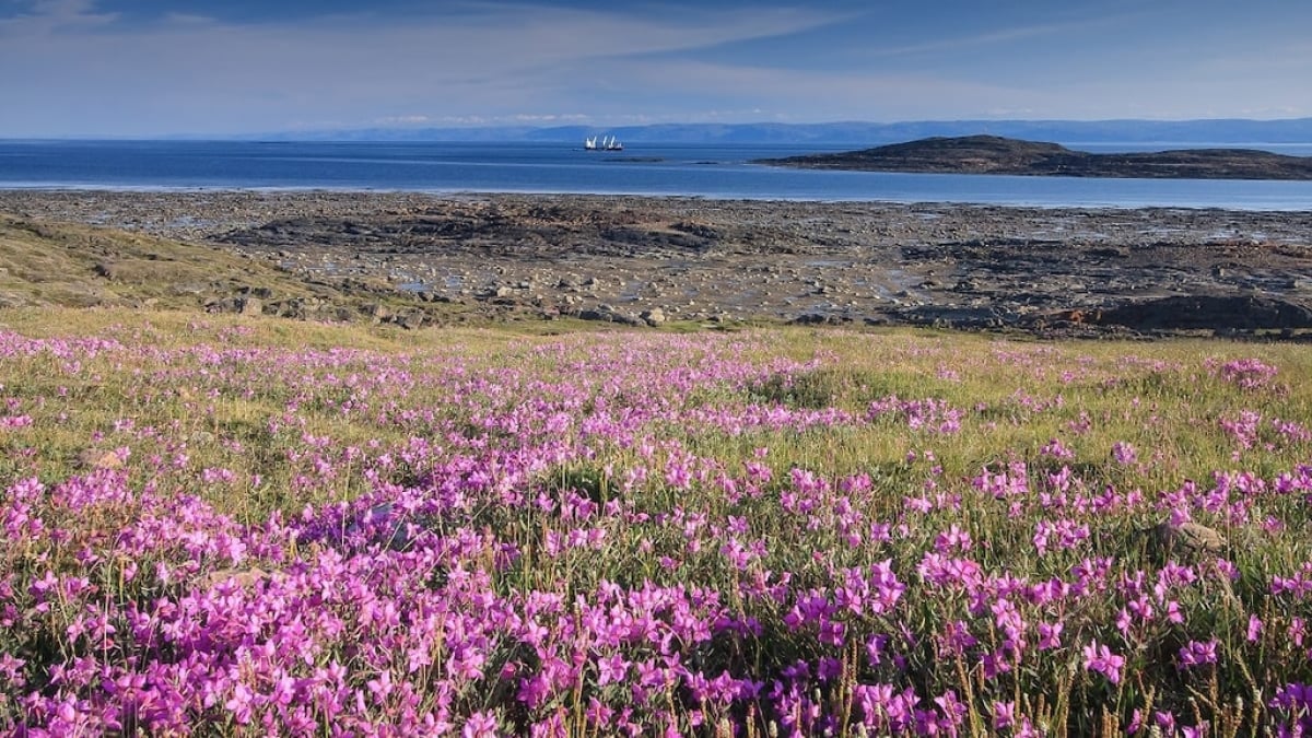 【Nunavut Territory, Canada】Enjoy the Nature and Culture of the Arctic Circle in Iqaluit!