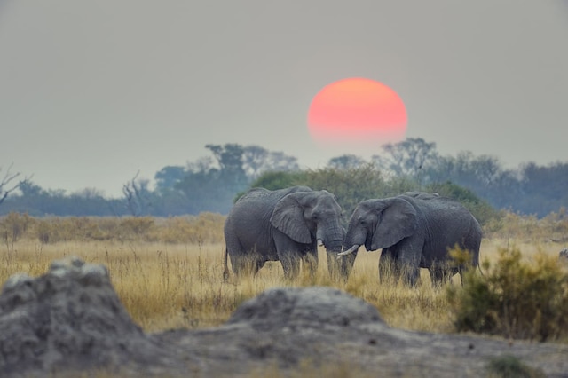 Botswana