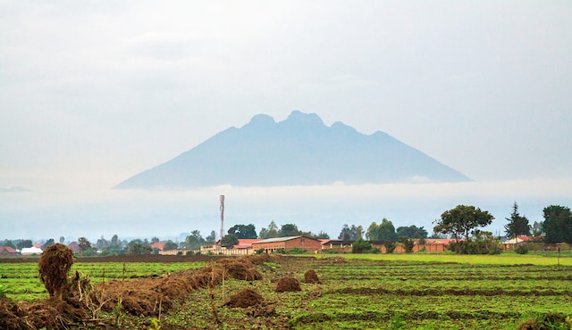Republic of Congo