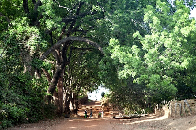 Guinea-Bissau