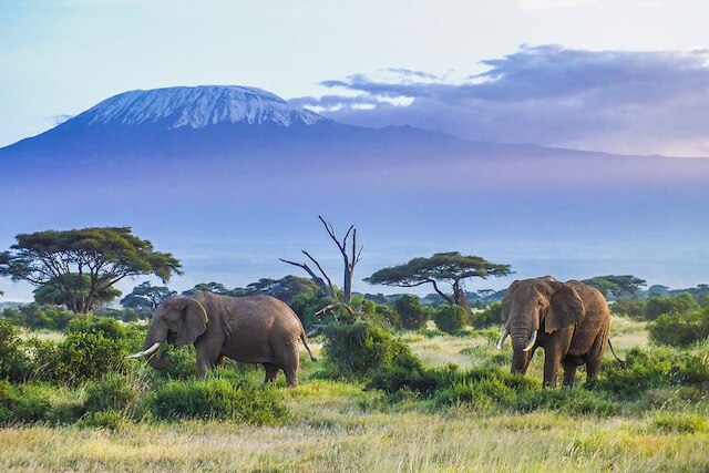 Tanzania