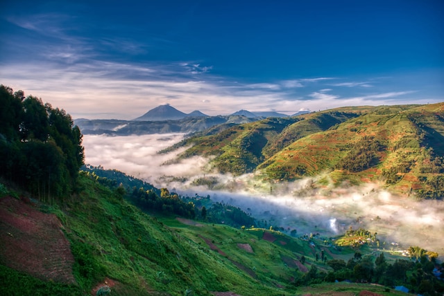Uganda