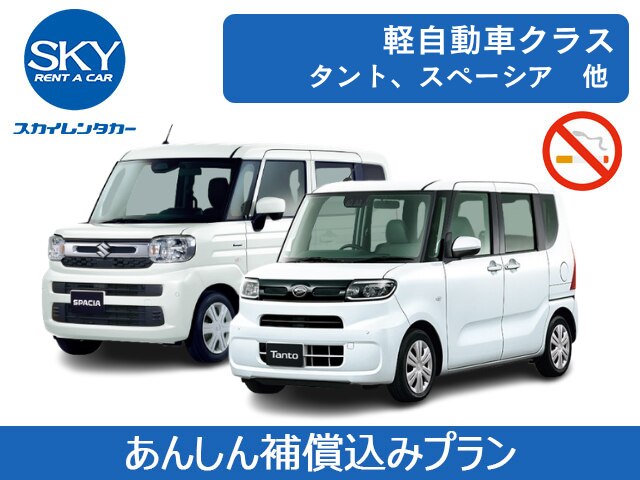 N-BOX Custom
