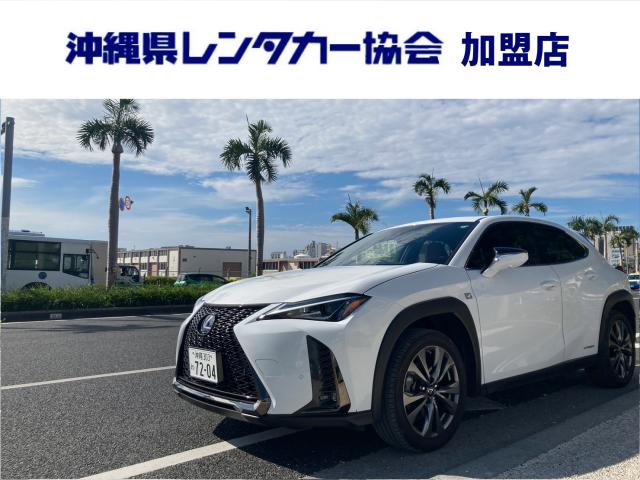 rekusasuUX250h F Sport