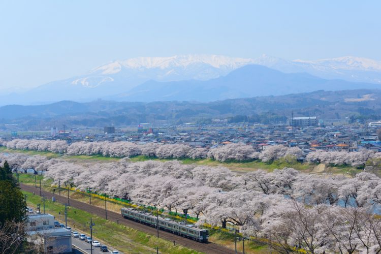 宮城のおすすめレンタカー会社