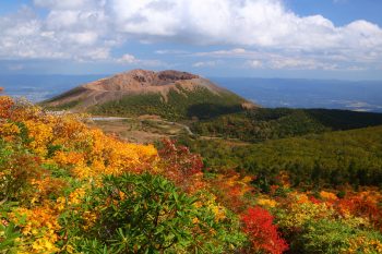 Fukushima