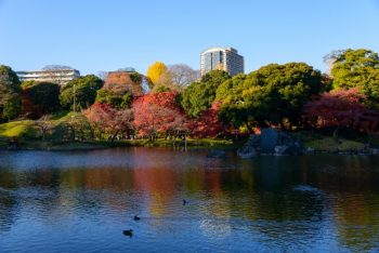 お茶の水・湯島・九段・後楽園のドライブスポット