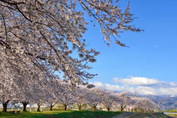 尾花沢・新庄・村山のドライブスポット