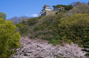 琴平・丸亀・坂出のドライブスポット