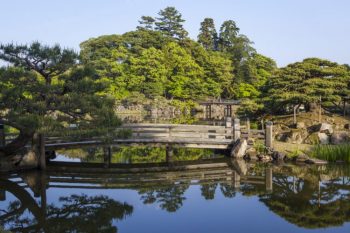 湯の花・丹波・美山のドライブスポット