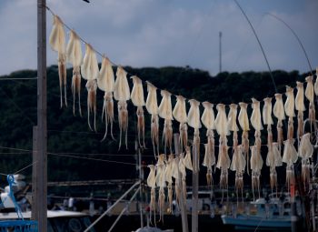 唐津・呼子のドライブスポット