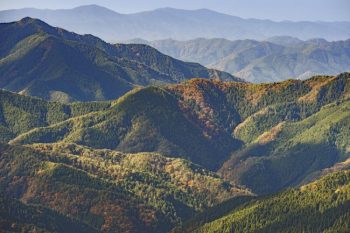 高野山のドライブスポット