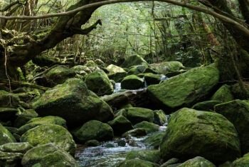 北薩・川内のドライブスポット