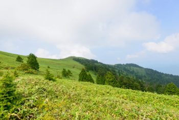 尾張・犬山・小牧のドライブスポット
