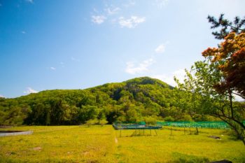 越谷・草加のドライブスポット