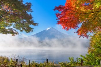 河口湖・西湖・富士吉田・精進湖・本栖湖のドライブスポット