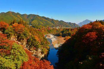 Saitama