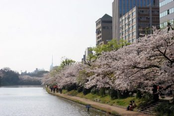 Fukuoka